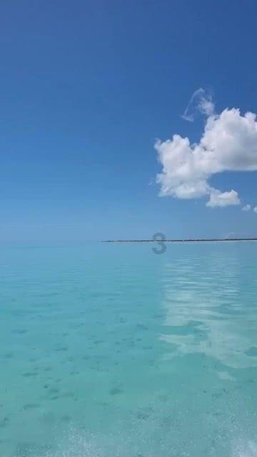2024“智造氧吧 健康中国”高峰论坛暨清大优氧科技年会圆满落幕